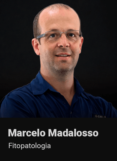 10-Marcelo-Madalosso.png